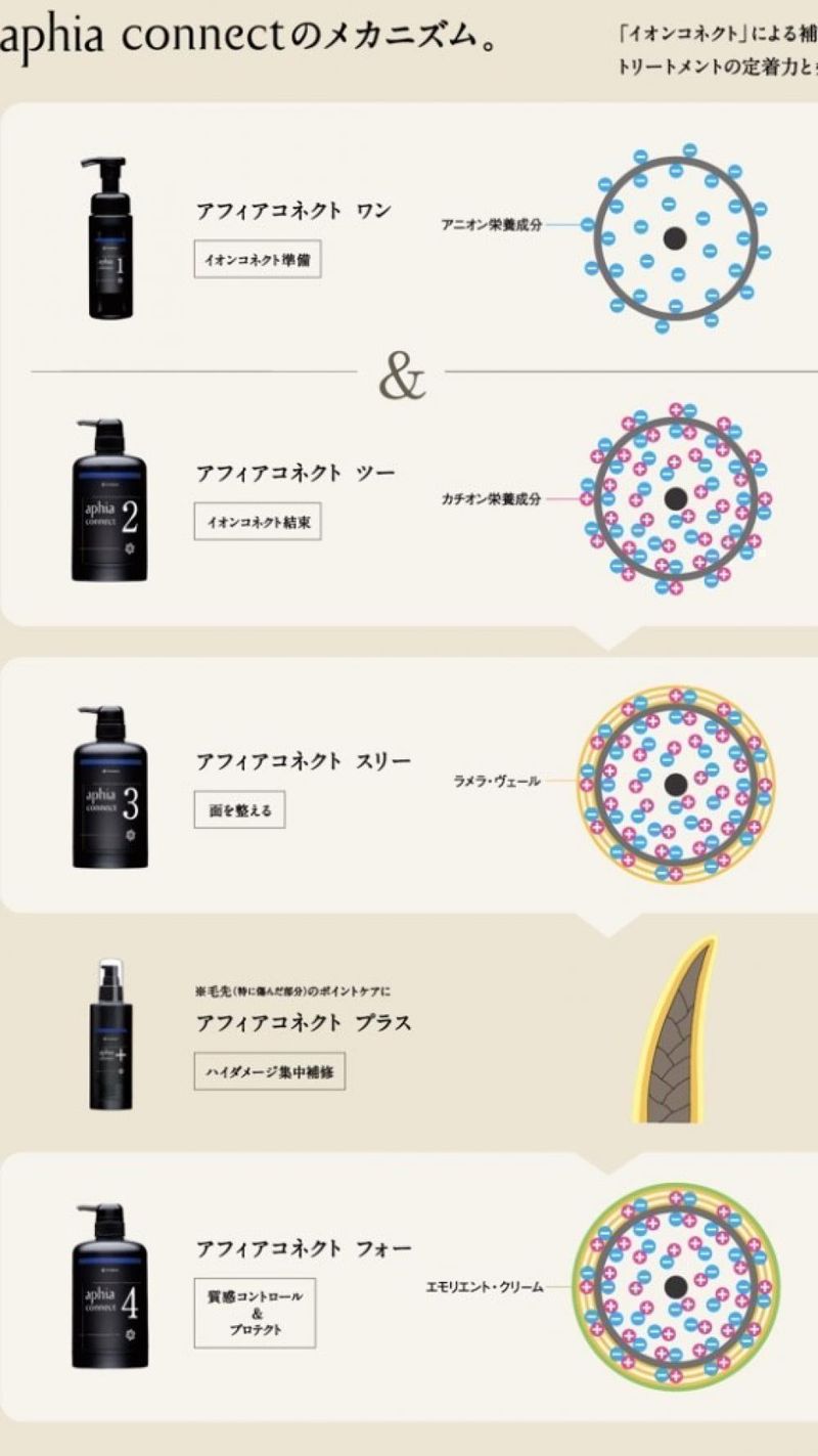 Aphia connect(アフィアコネクト)ってどういうもの？｜コラム Ash 西