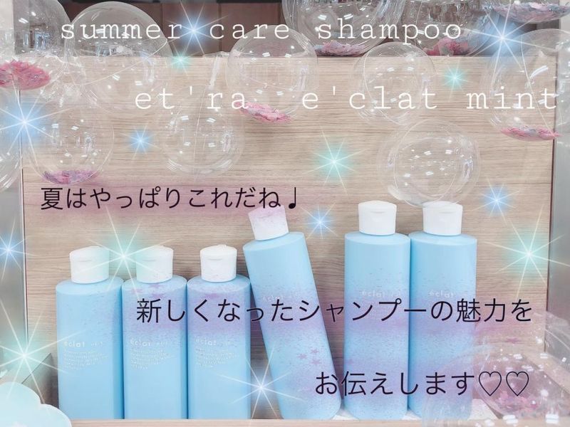 ☆数量限定!!エクラシャンプーミント これまでと何が変わったの